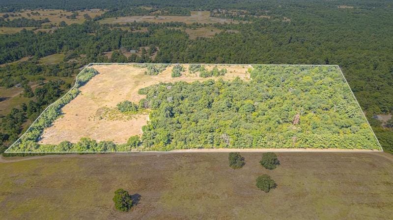 TBD County Road 228, Centerville, TX 75833 for Sale