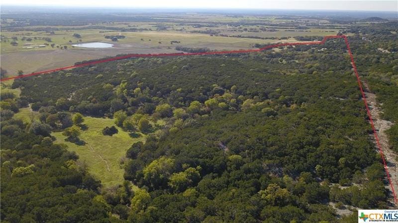 Tract 4 FM 2955, Jonesboro, TX 76528 for Sale