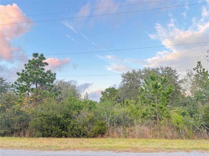 0 Robertson Street, Orlando, FL 32833 for Sale