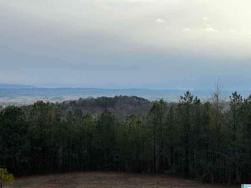 Oxford, Calhoun County, AL Homesites for sale Property ID: 418708588