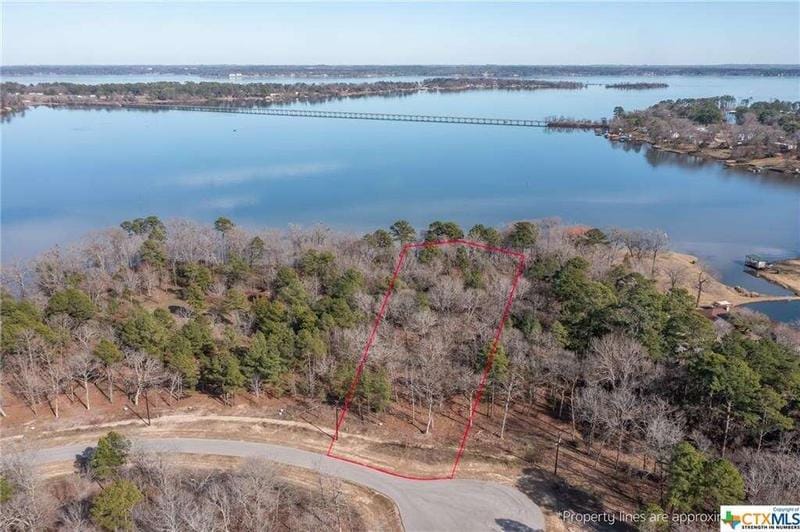 3106 Shadow Pine Drive, Larue, OTHER, TX 75770  624316484 for Sale