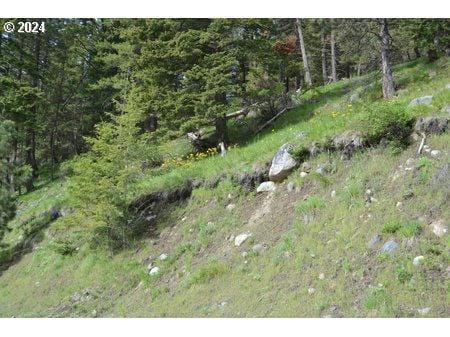 0 LAKE SHORE DR, Wallowa Lake, OR 97846 Land For Sale  MLS# 24070340
