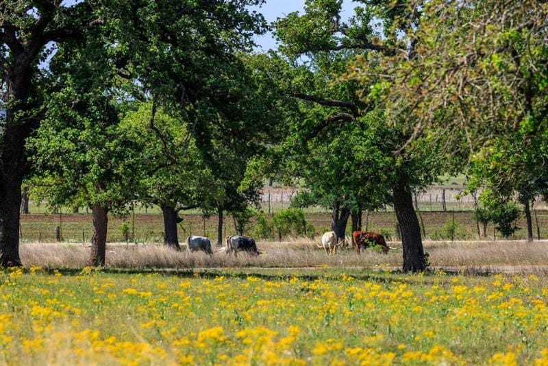 Lot 23 Spencer Ct, Fredericksburg, TX 78624 for Sale