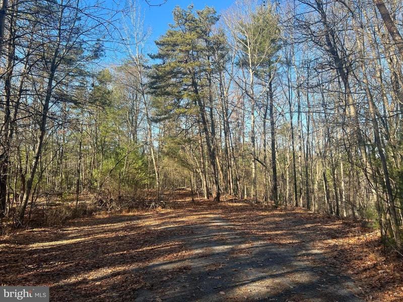 Winchester, Frederick County, VA Undeveloped Land, Homesites for sale Property ID: 418609877
