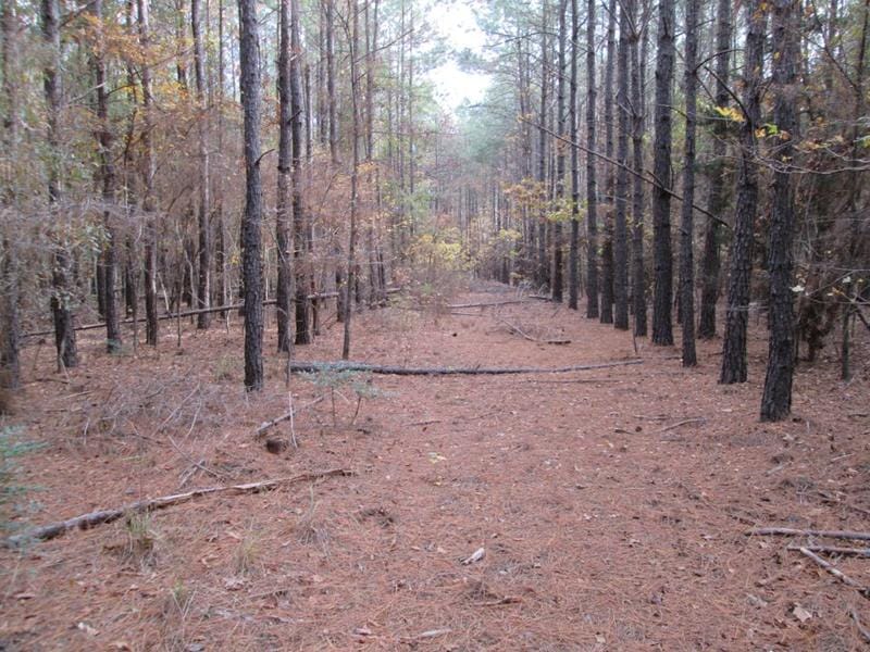 Canton, Van Zandt County, TX Farms and Ranches, Recreational Property, Timberland Property for sale Property ID: 418513452