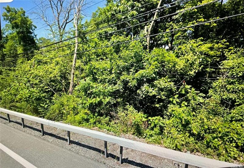 US HWY 6, Greenville, NY 12771 Land For Sale  MLS# 3524967