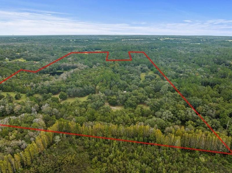 3033 Batten Rd, Brooksville, FL 34602 - MLS T3482705 for Sale