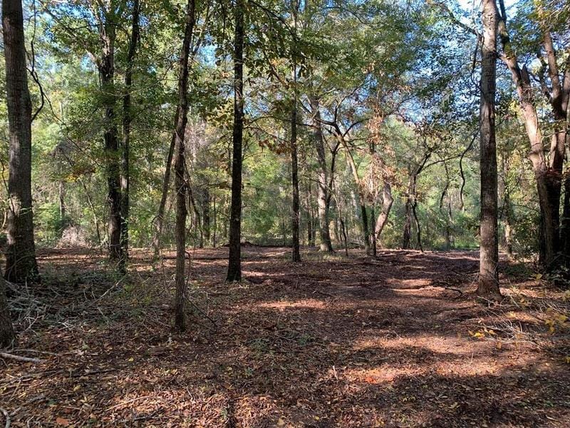 TBD CR 1500, ATHENS, TX 75751 for Sale