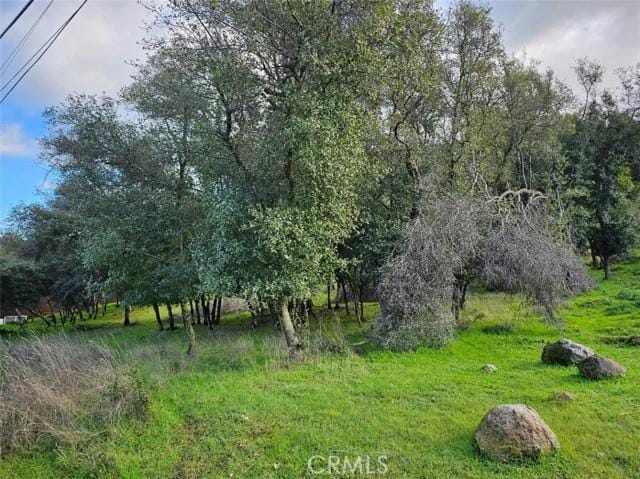 10775 HARBOR RD, Kelseyville, CA 95451 Land For Sale  MLS# LC24015994