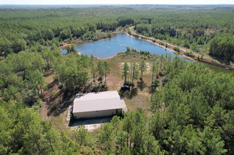 TBD FM 2991, Burkeville, TX 75932 for Sale