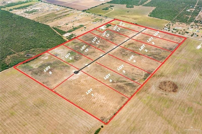 Lot 6 N Brushline Road, Edinburg, TX 78542 for Sale