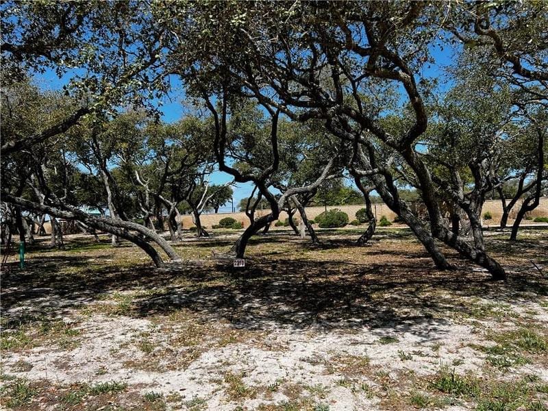2310 Royal Oaks, Fulton, TX 78358 for Sale