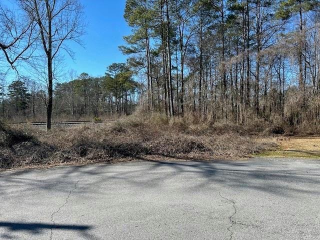 94 SOUTH ST, Temple, GA 30179 Land For Sale  MLS# 7329353