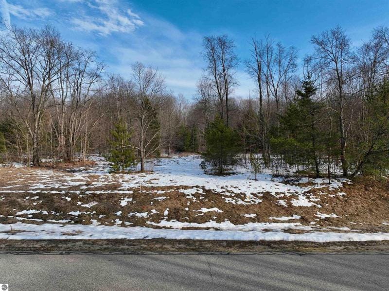 Cadillac, Wexford County, MI Undeveloped Land, Homesites for sale Property ID: 418866166