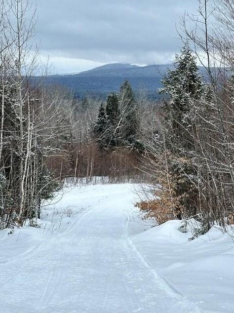 30 Spruce Pond Rd, Limington, ME 04961 - MLS 1582025 for Sale