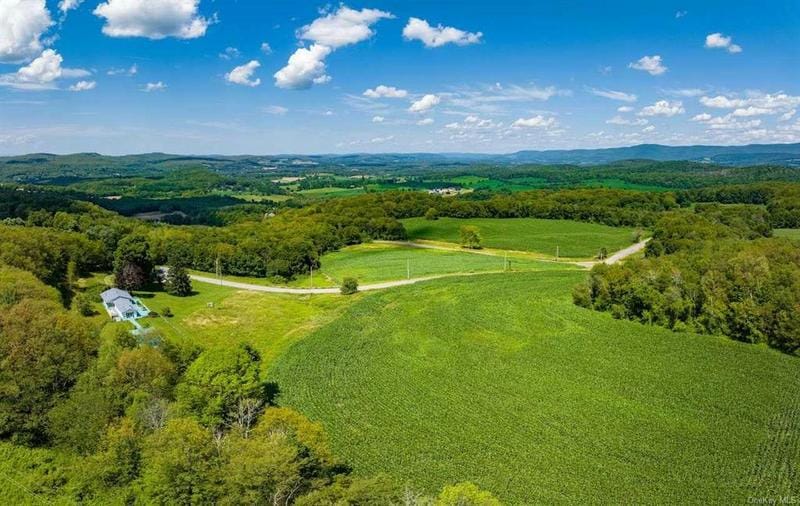153 SKYLINE ROAD, Ancram, NY 12502 Single Family Residence For Sale  MLS# HM415820