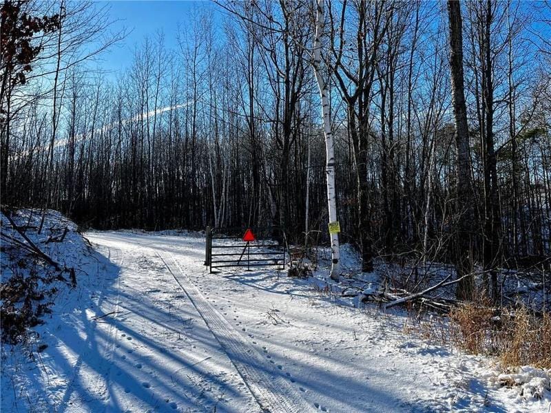 Hackensack, Cass County, MN Undeveloped Land for sale Property ID: 418520772