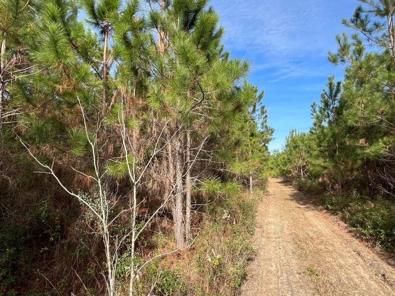 Alma, Bacon County, GA Recreational Property, Hunting Property for sale Property ID: 418635403