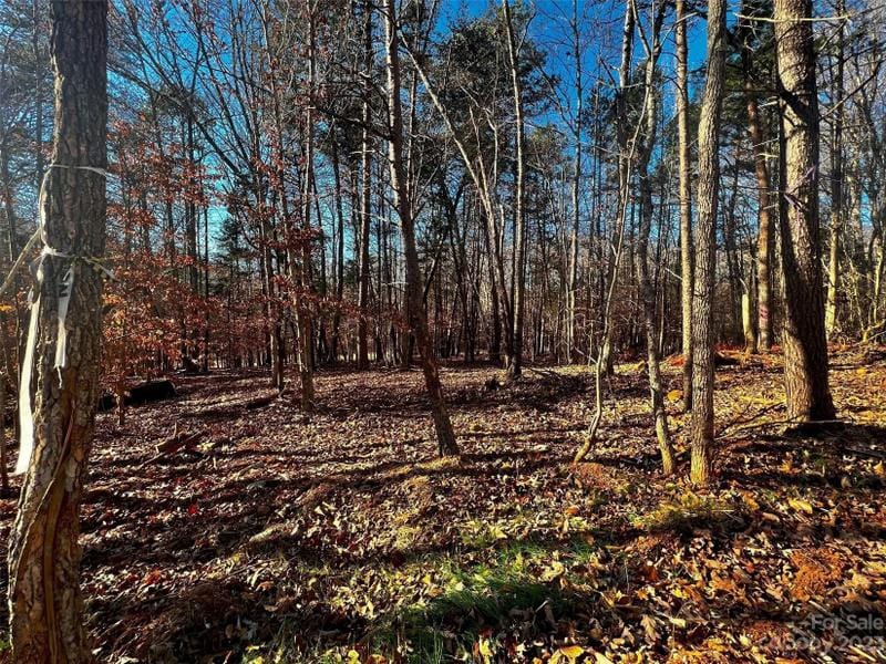 Davidson, Iredell County, NC Undeveloped Land, Homesites for sale Property ID: 418710498
