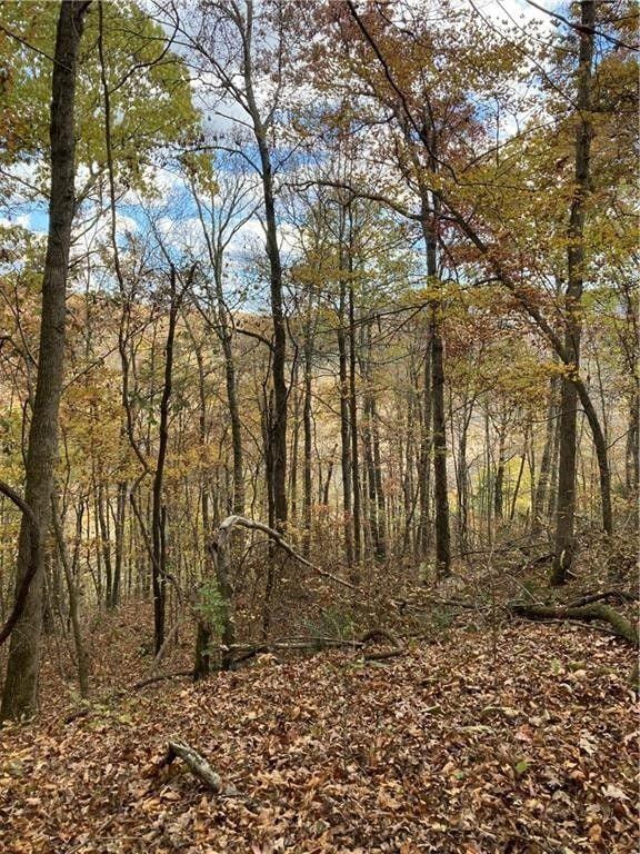 Boxley, Newton County, AR Undeveloped Land for sale Property ID: 418519125