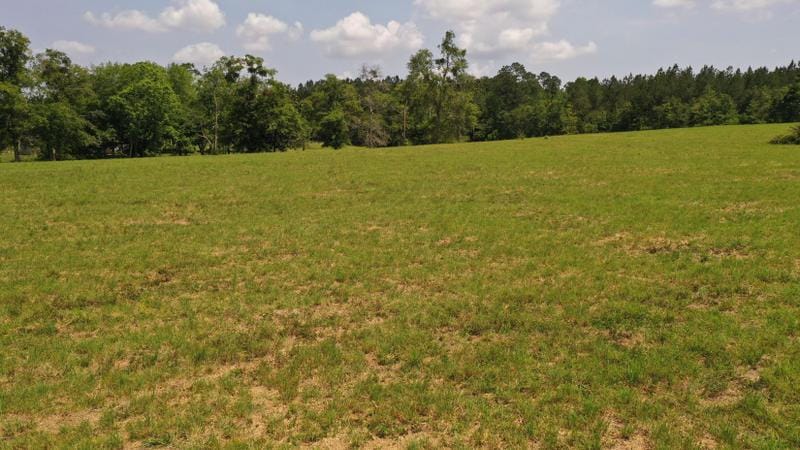 Cantonment, Escambia County, FL Undeveloped Land, Horse Property, Homesites for sale Property ID: 418836406