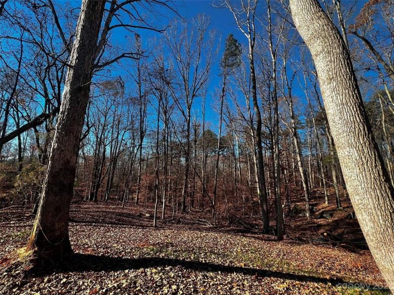 Davidson, Iredell County, NC Undeveloped Land, Homesites for sale Property ID: 418710495