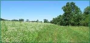 Sawyer Road, Central City, IA 52214  624605917 for Sale