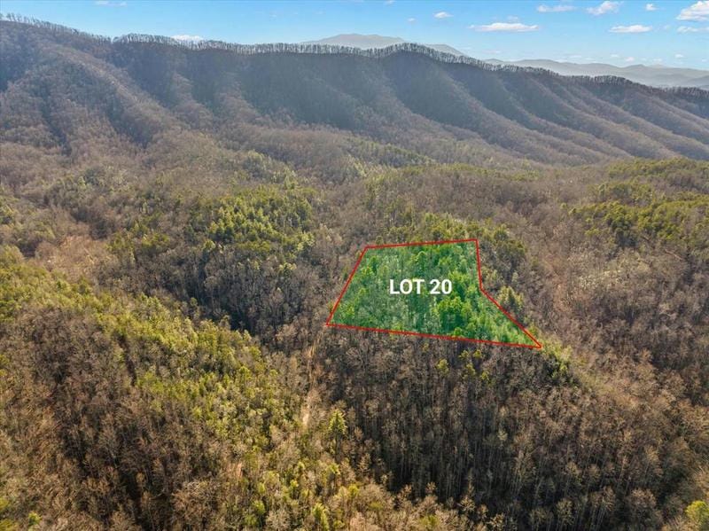 LOT 20 QUARTER HORSE WAY, Sevierville, TN 37876 Land For Sale  MLS# 267949