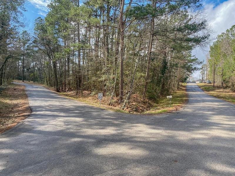 TBD Crockett Road, Willis, TX 77378 for Sale