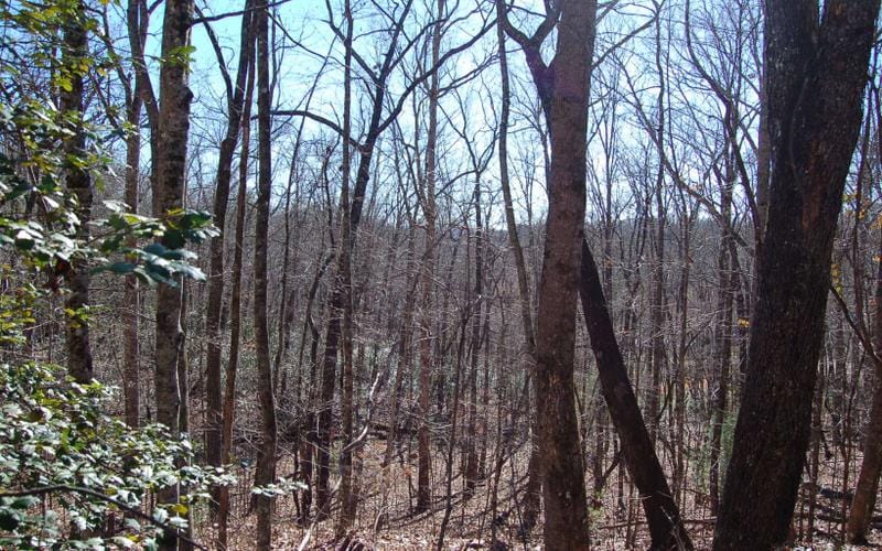 0 Timberline Lane, Hayesville, NC 28904 for Sale