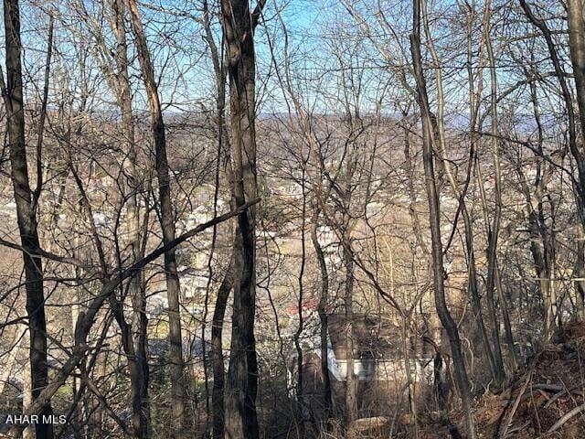 Bedford, Bedford County, PA Undeveloped Land, Homesites for sale Property ID: 418551875