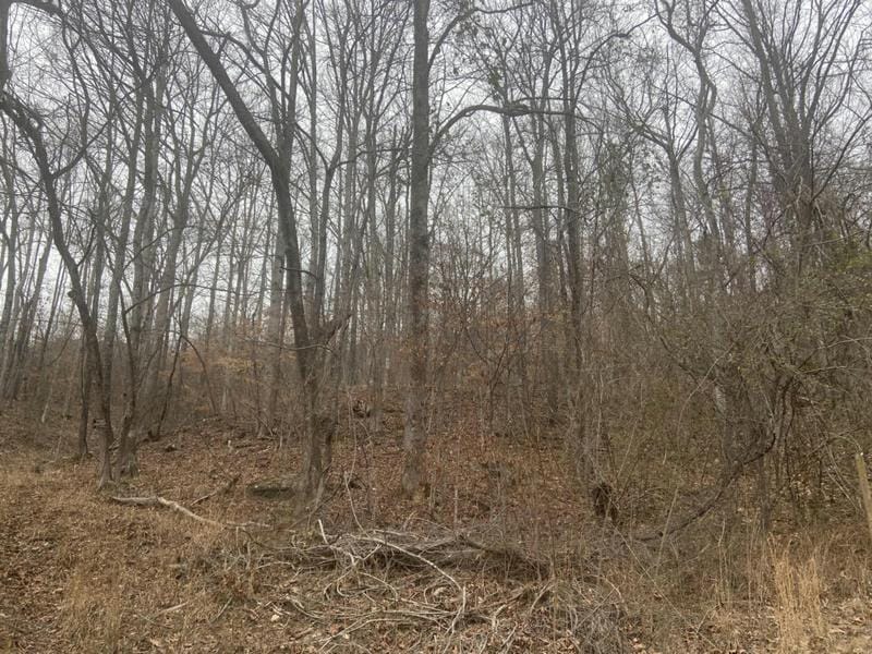 0 MULLINS COVE RD, Whitwell, TN 37397 Land For Sale  MLS# 1385279