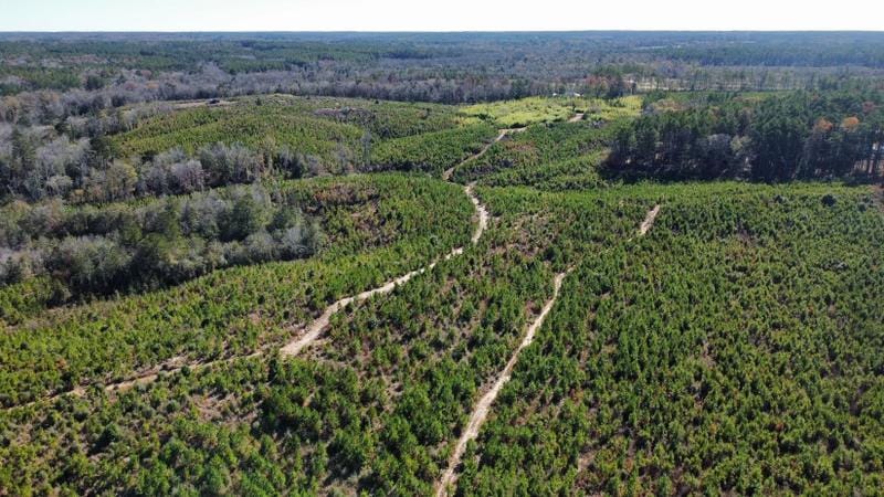 Mendenhall, Simpson County, MS Farms and Ranches, Recreational Property for sale Property ID: 418489433