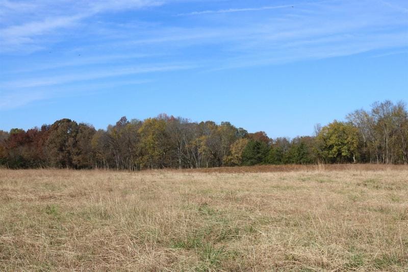 0 Hamilton Rock Lane, Savannah, TN 38372 for Sale