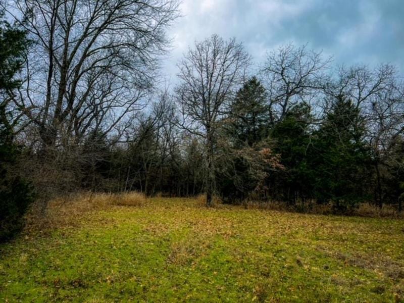341 Billy Rd, Bowie, TX 76230 for Sale