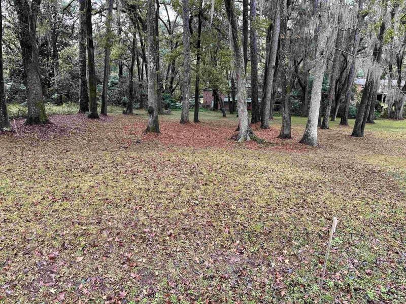 Tallahassee, Leon County, FL Undeveloped Land, Homesites for sale Property ID: 418762273