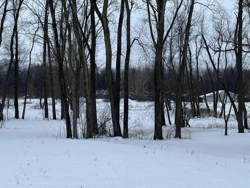 9466 DAN SMITH RD, Watervliet, MI 49098 Land For Sale  MLS# 24004299