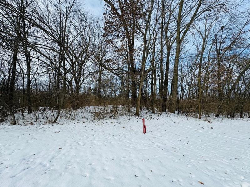 0 S Hess St, Brook, IN 47922 - MLS 544014 for Sale