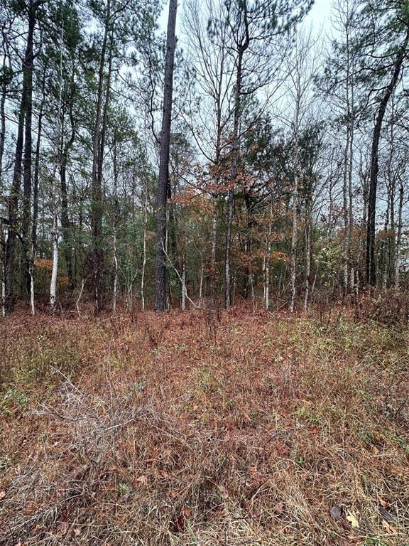 TBD Hwy 190 E, Woodville, TX 75979 for Sale