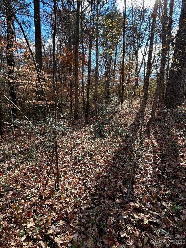 2028 Bess Town Road, Bessemer City, NC 28016 for Sale