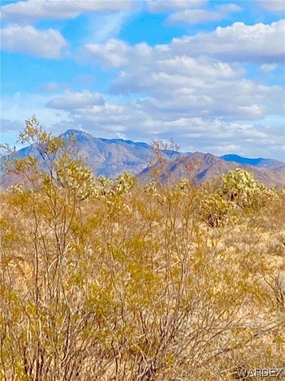 Yucca, Mohave County, AZ Farms and Ranches for sale Property ID: 418551795