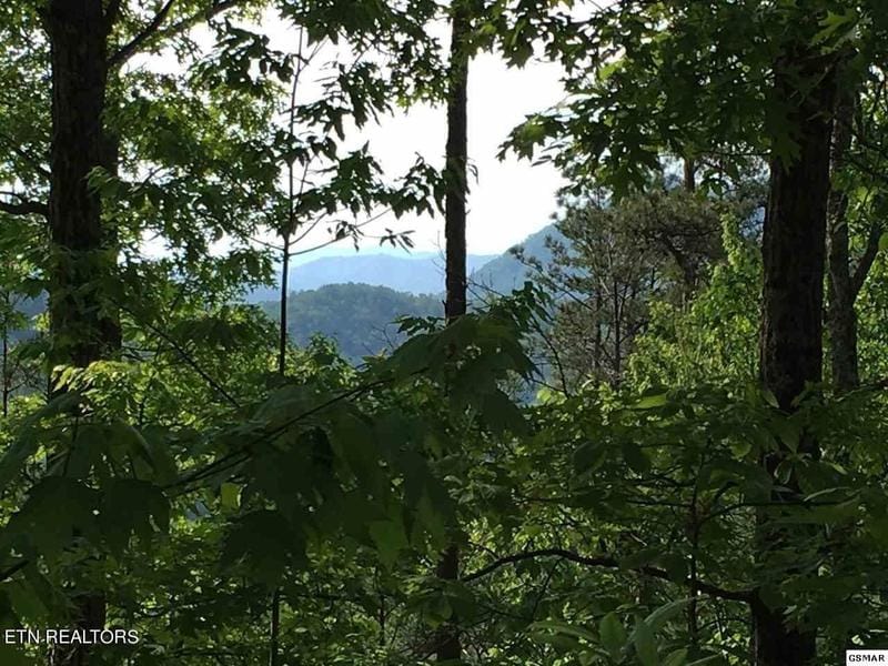 Sevierville, Sevier County, TN Undeveloped Land, Homesites for sale Property ID: 418899356