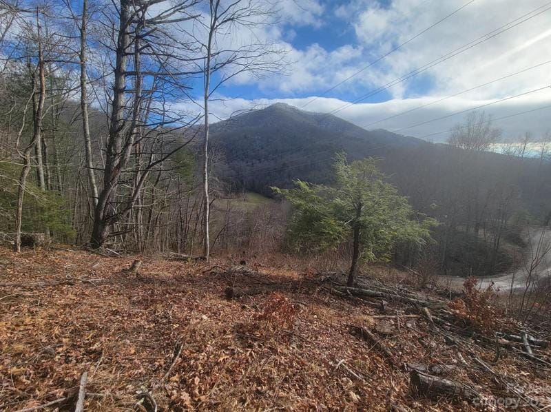 1800 Water Wheel Cove, Clyde, NC 28721 - MLS 4106787 for Sale