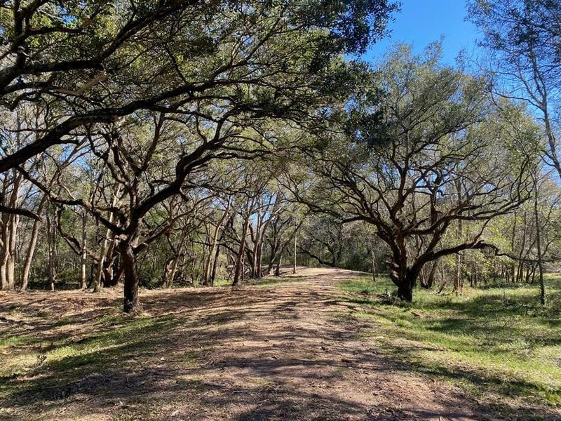 0 County Road 121 Off Pvt Rd, Rosharon, TX 77583 for Sale