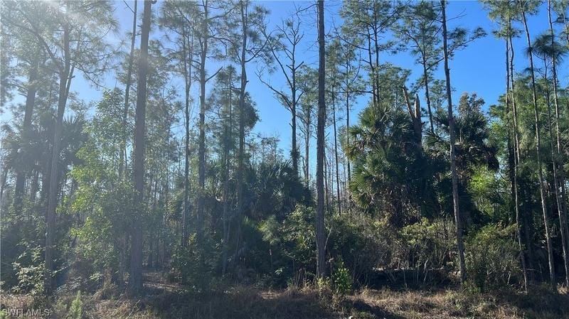 Naples, Collier County, FL Undeveloped Land, Homesites for sale Property ID: 418924696