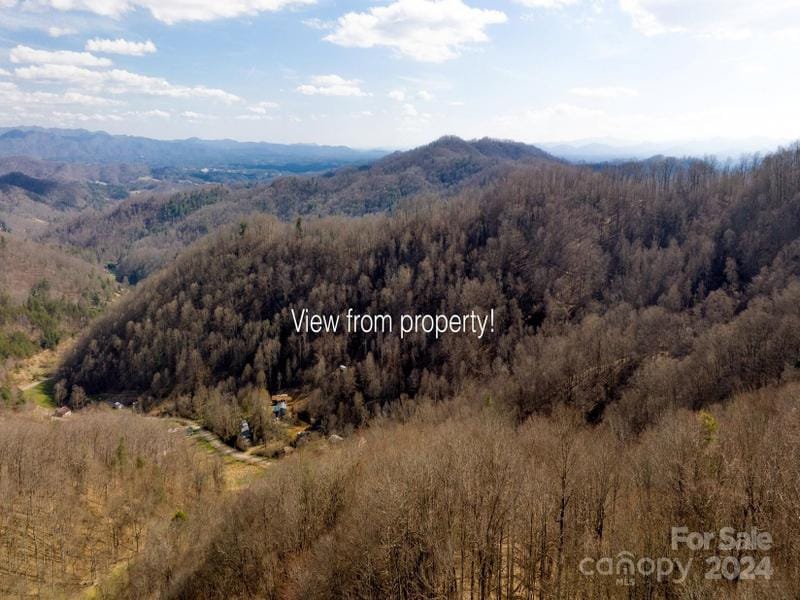 Marshall, Madison County, NC Undeveloped Land for sale Property ID: 418671940