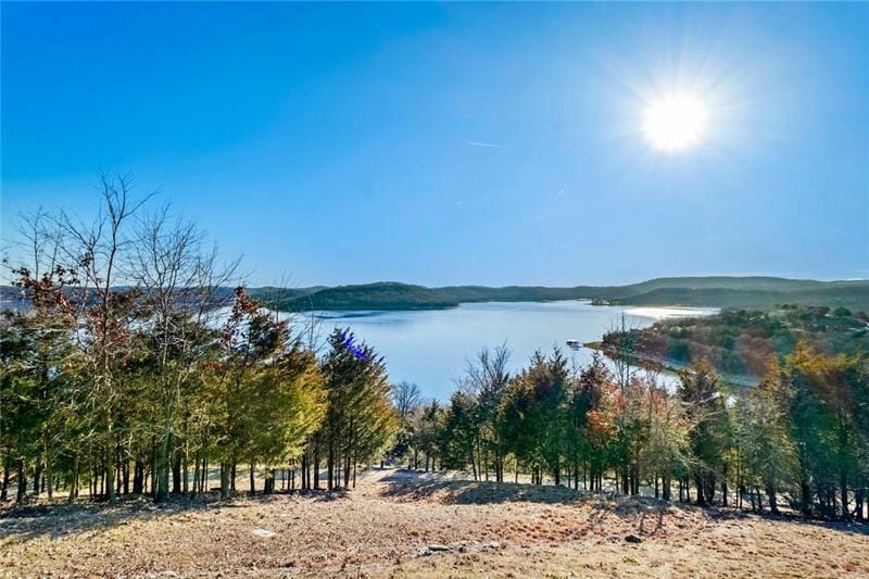 1150 COUNTY ROAD 113, Eureka Springs, AR 72631 Single Family Residence For Sale  MLS# 1265265
