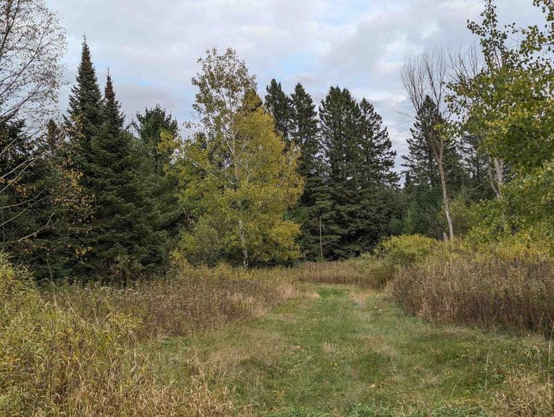 Brantwood, Price County, WI Undeveloped Land for sale Property ID: 418643667