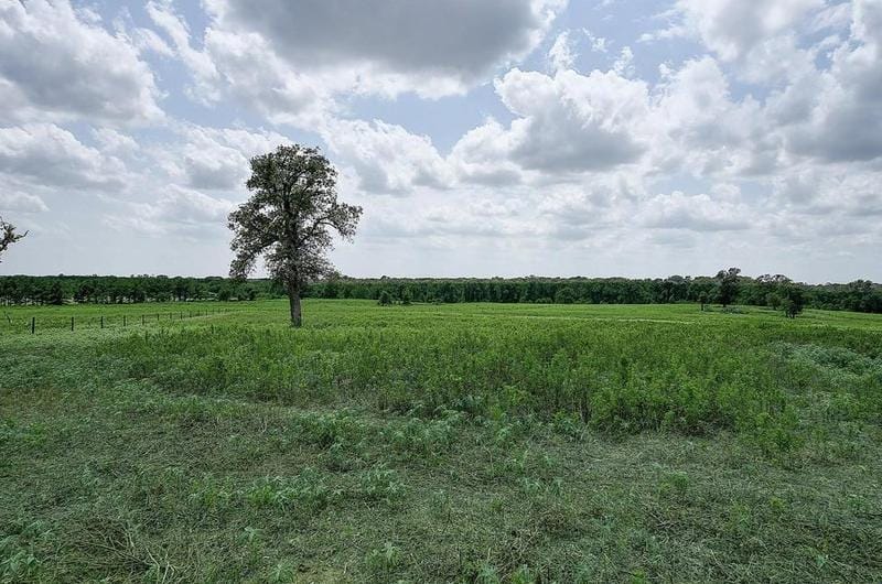 T-14 An County Road 466, Palestine, TX 75803 - MLS 78718546 for Sale