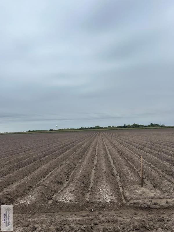 6.6 Ac Weaver Rd, SAN BENITO, TX 78586 for Sale